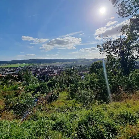 Heiligenstadt 公寓 *